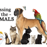 Blessing of the Animals