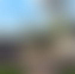 COMPLETE HOME REMODEL - LAKEWOOD, CO