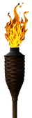Tiki Torch_edited_edited_edited.png