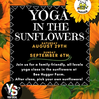 Yoga in the Sunflowers _ The Bee Hugger Farm Social Media Summer 2025 (Instagram Post (45)