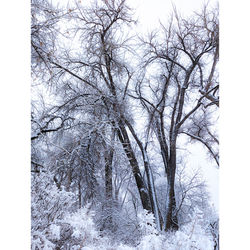 Mahesh Narasimhan. Ritual of Stillness. 17 in x 24 in. Photographic print. 259