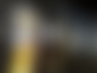 Orchid Z3RO lights it up