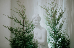 Screen Shot 2017-03-06 at 14.14.41