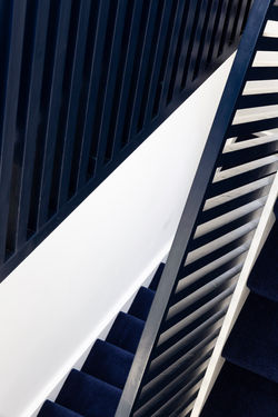 Billy Bolton_Simba Cuckooz_74