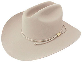 ✨️希少✨️激レア✨️JOHN STETSON Hat CARSON BELLY ✨️希少