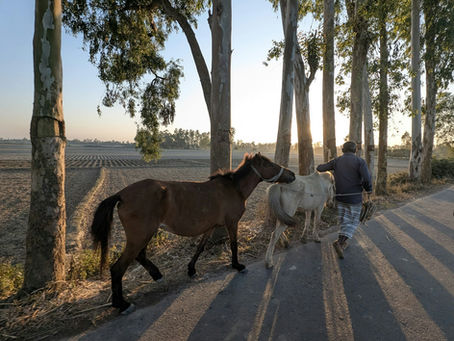 דרך עפר שקטה בנוף כפרי — טאי צ'י בגבעת ברנר