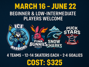 🏒🔥 3-on-3 Adult Hockey: Fast, Fun, and Coming This Spring with OttawaHockeyHub.ca & OWBH!