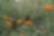 530.JPEG
