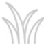 herbe_edited.png