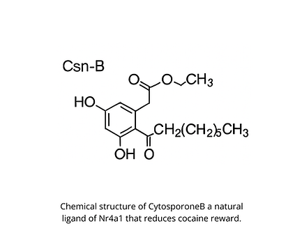 Chemical structure of Cytosporone B, a natural Nr4a1 ligand.