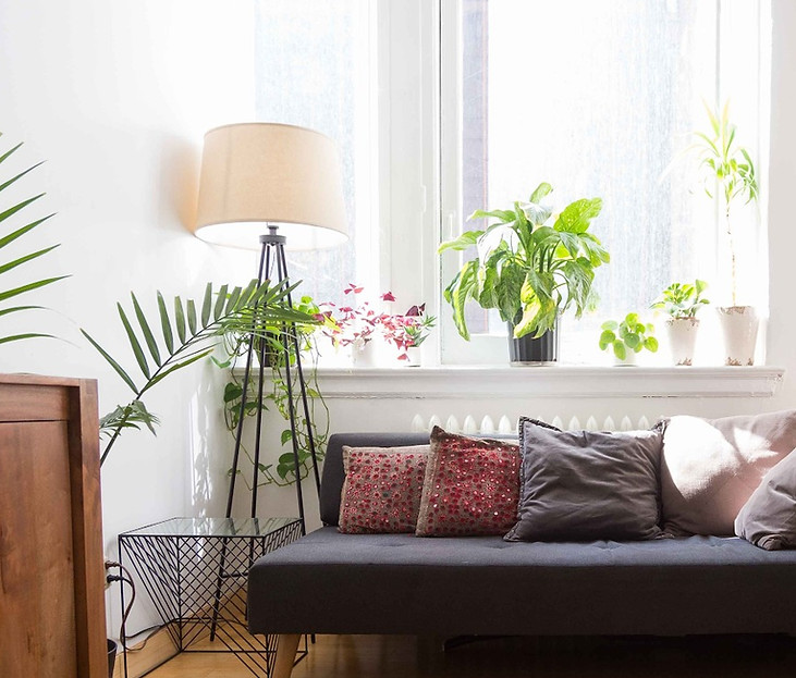 a welcoming therapy office