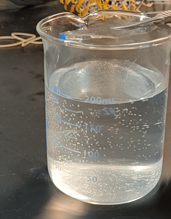 ezgif.com-crop (1).gif