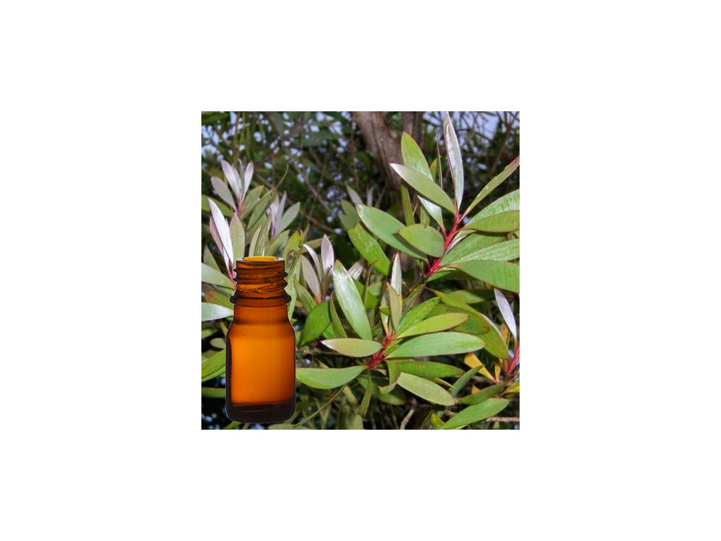 Huile Essentielle NIAOULI 10 ml
