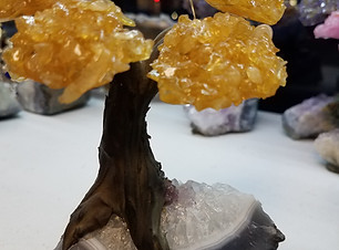 20201120_172346.jpg