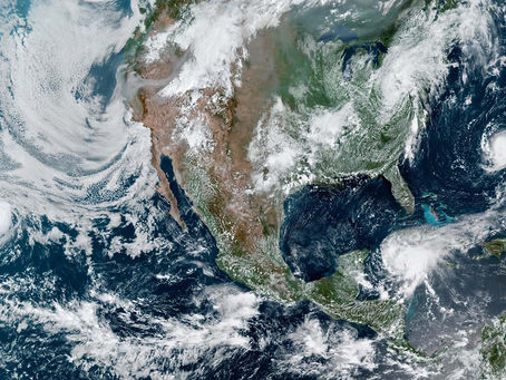 The Climate Crisis and Endangered Animals