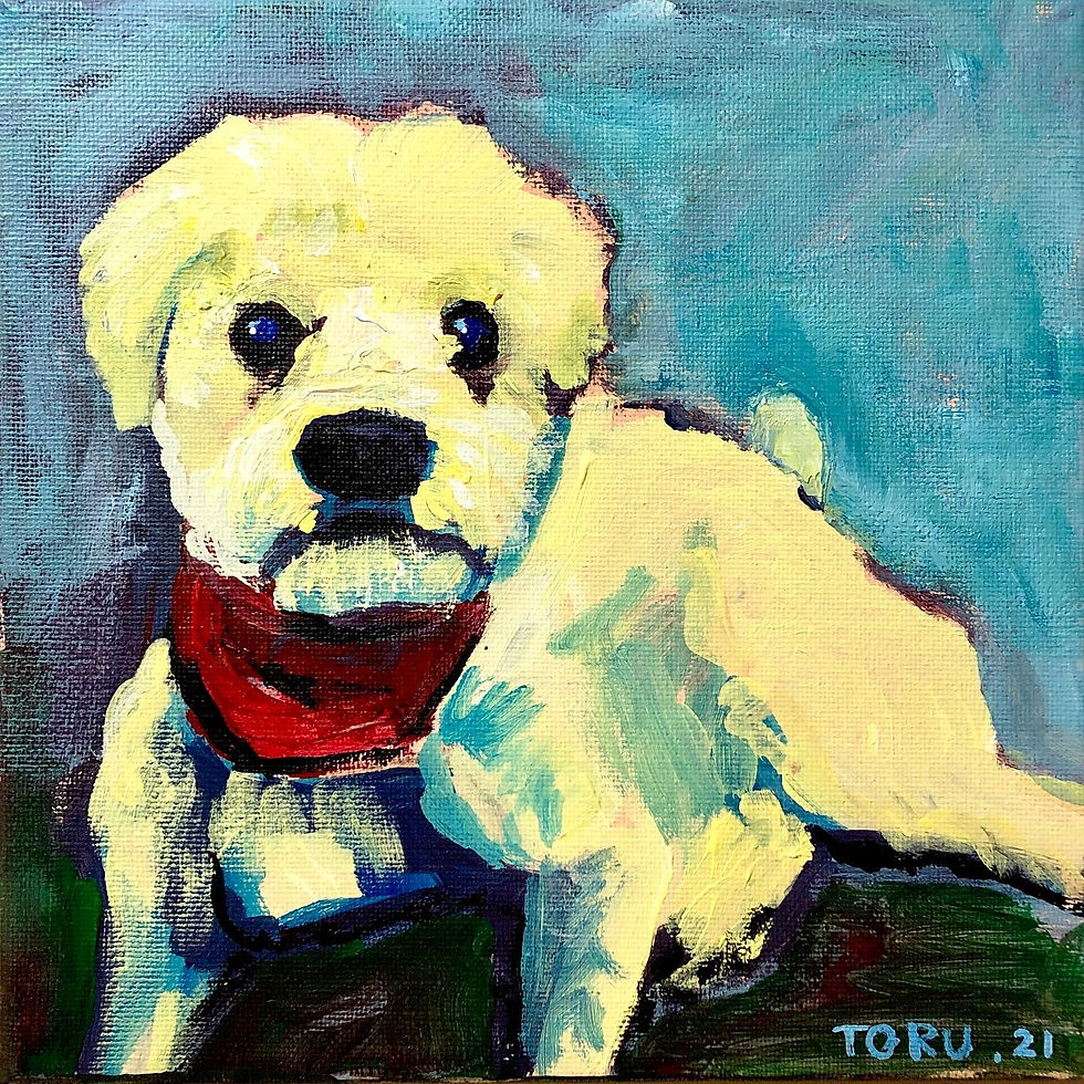 The dog in Vanier 4