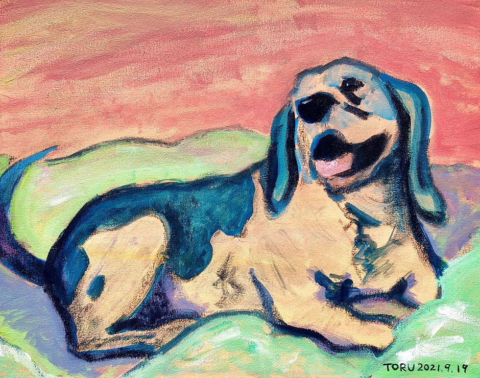 Beagle looking back
