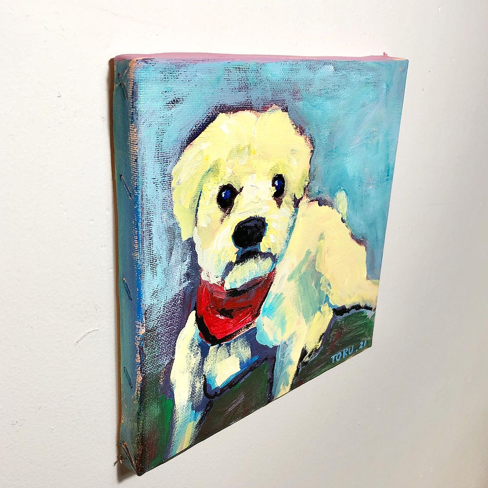 The dog in Vanier 4