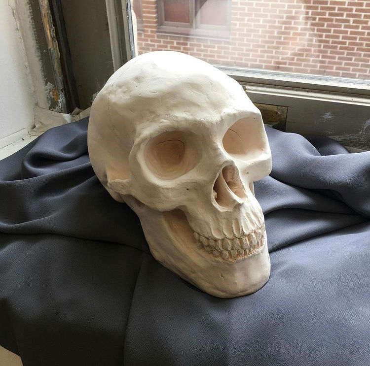 Skull