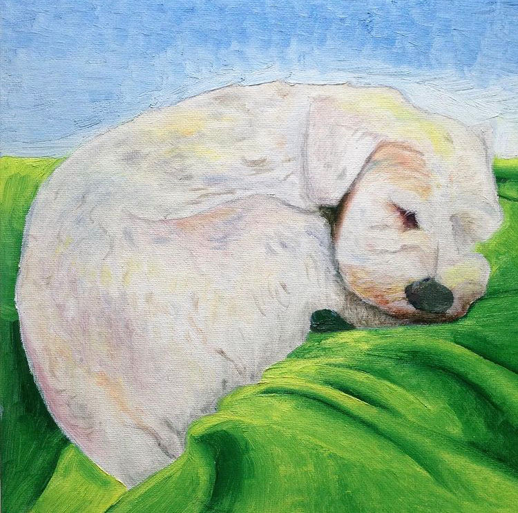 The dog in Vanier 1