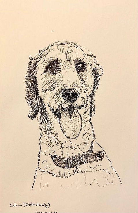 Calvin (Sketch)