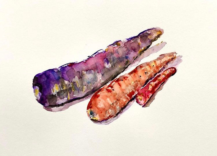Colourful Carrots