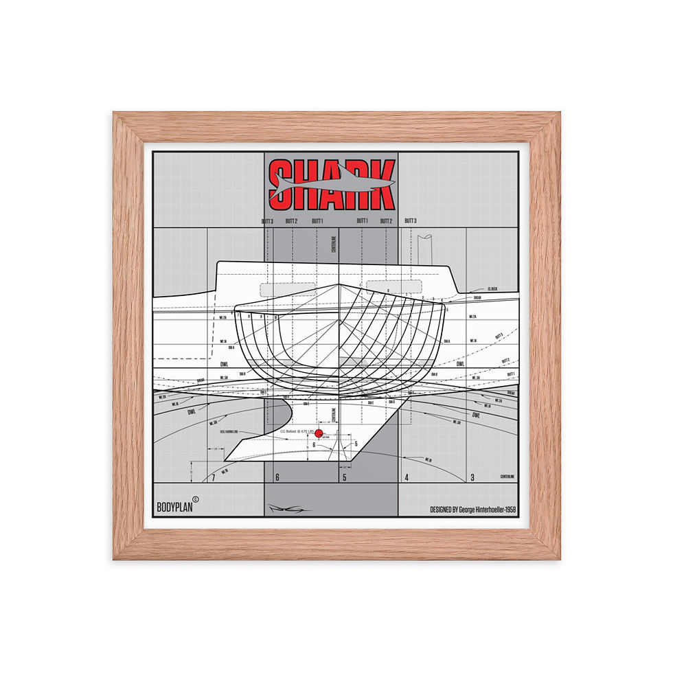 Thumbnail: BODYPLAN Shark Framed poster