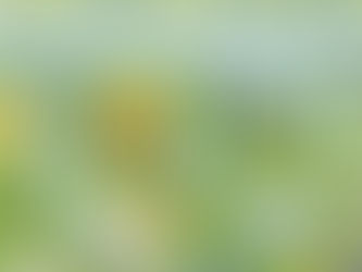 Support for Energy Self-Production in SMEs: New Opportunities for Small and Medium Enterprises