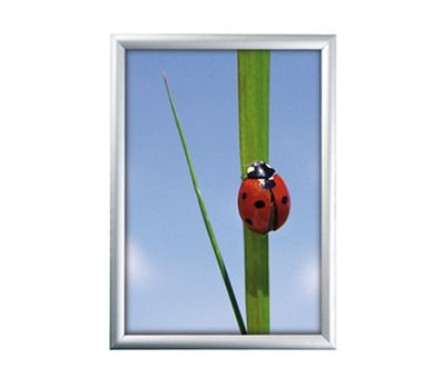 Alu Klapprahmen  25 mm, 50 x 70cm, silber