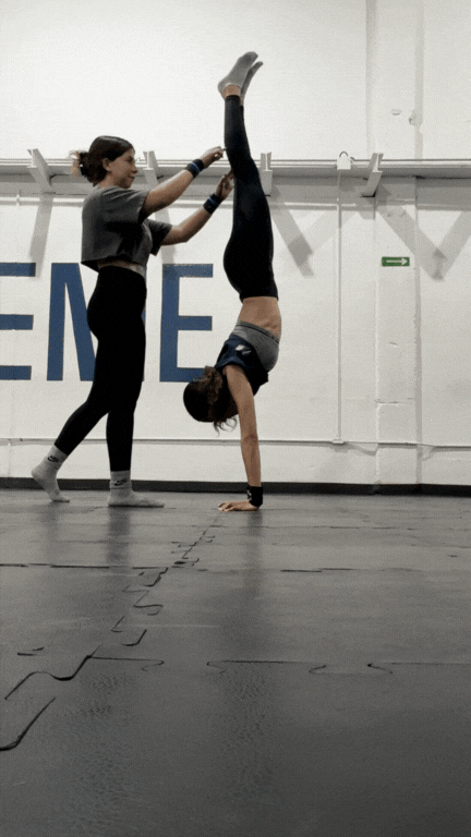 Diseño sin título (5).gif