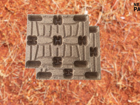 Pallet Dừa Chống Mối Mọt - Giải Pháp Xanh Bền Vững Cho Bảo Quản Hàng Hóa