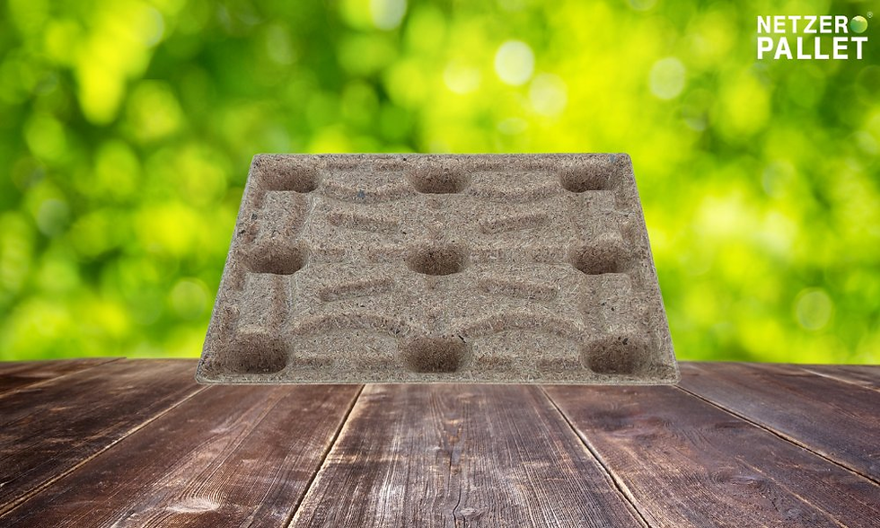 Netzero pallet - đối tác đáng tin cậy