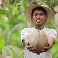 NetZero Pallet farmer