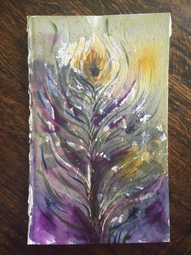 Peacock Feather