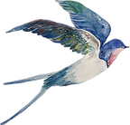 IMG_3716 (1)_edited.png