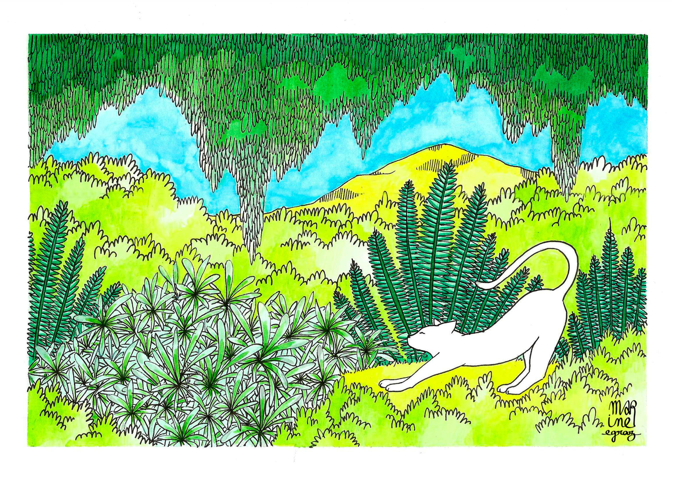 "Jungle Cat" Postcard 