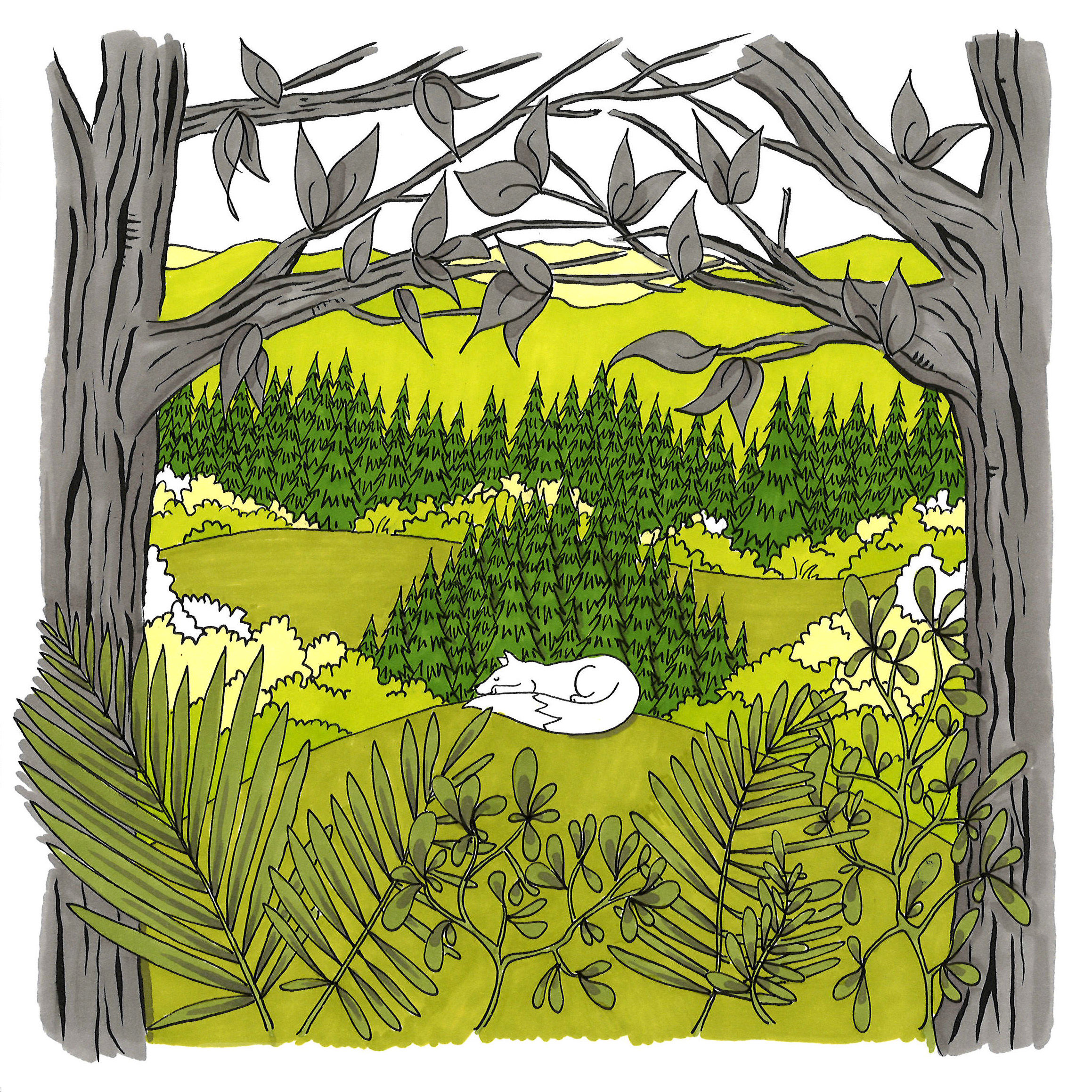 Carte pliée "La Clairière"