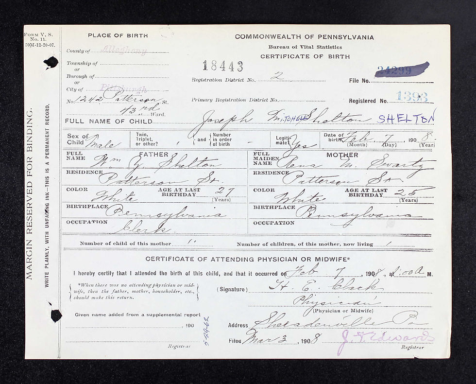 What is a Birth Record?