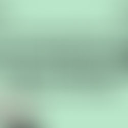 green banner with title text