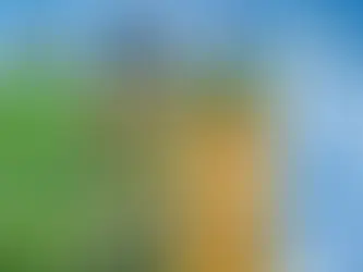 계절의 변동과 해외선물 시장