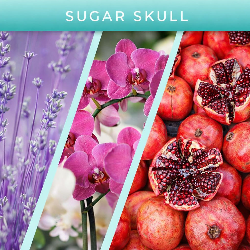Sugar Skull musky cologne style air freshener scent with lavender sandalwood notes promo graphic