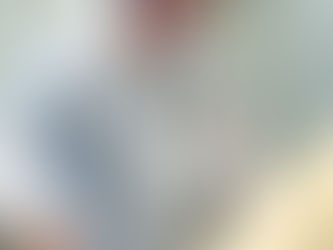 Ik wilde een blog schrijven over PSO. Maar eigenlijk gaat deze over Fokke.