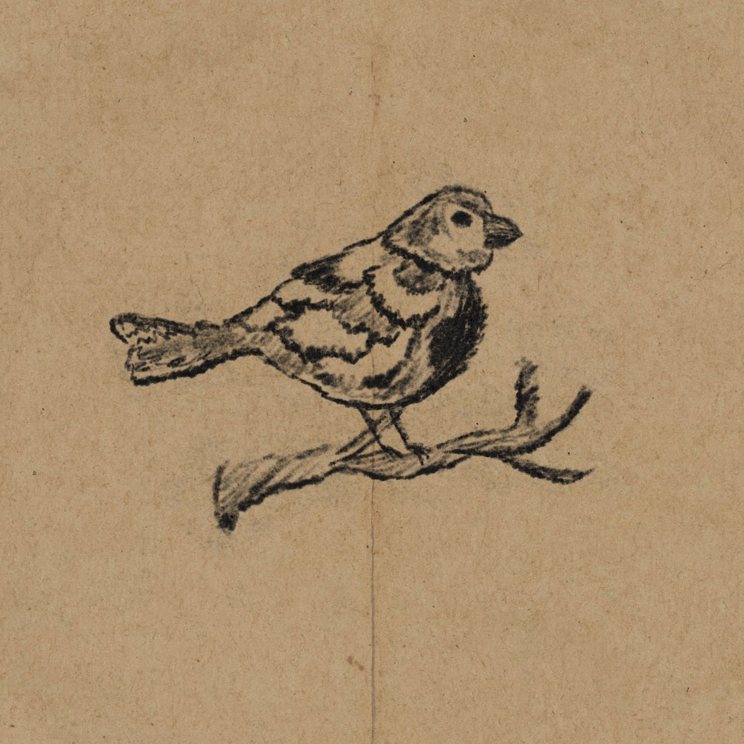 Lil Bird