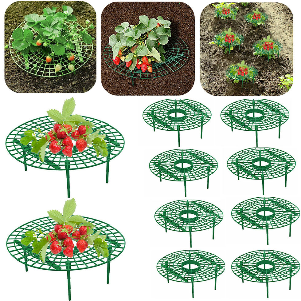Thumbnail: 10-5pc Strawberry Supports with 4 Sturdy Legs Keeping Plant Fruit Stand Keep Ber
