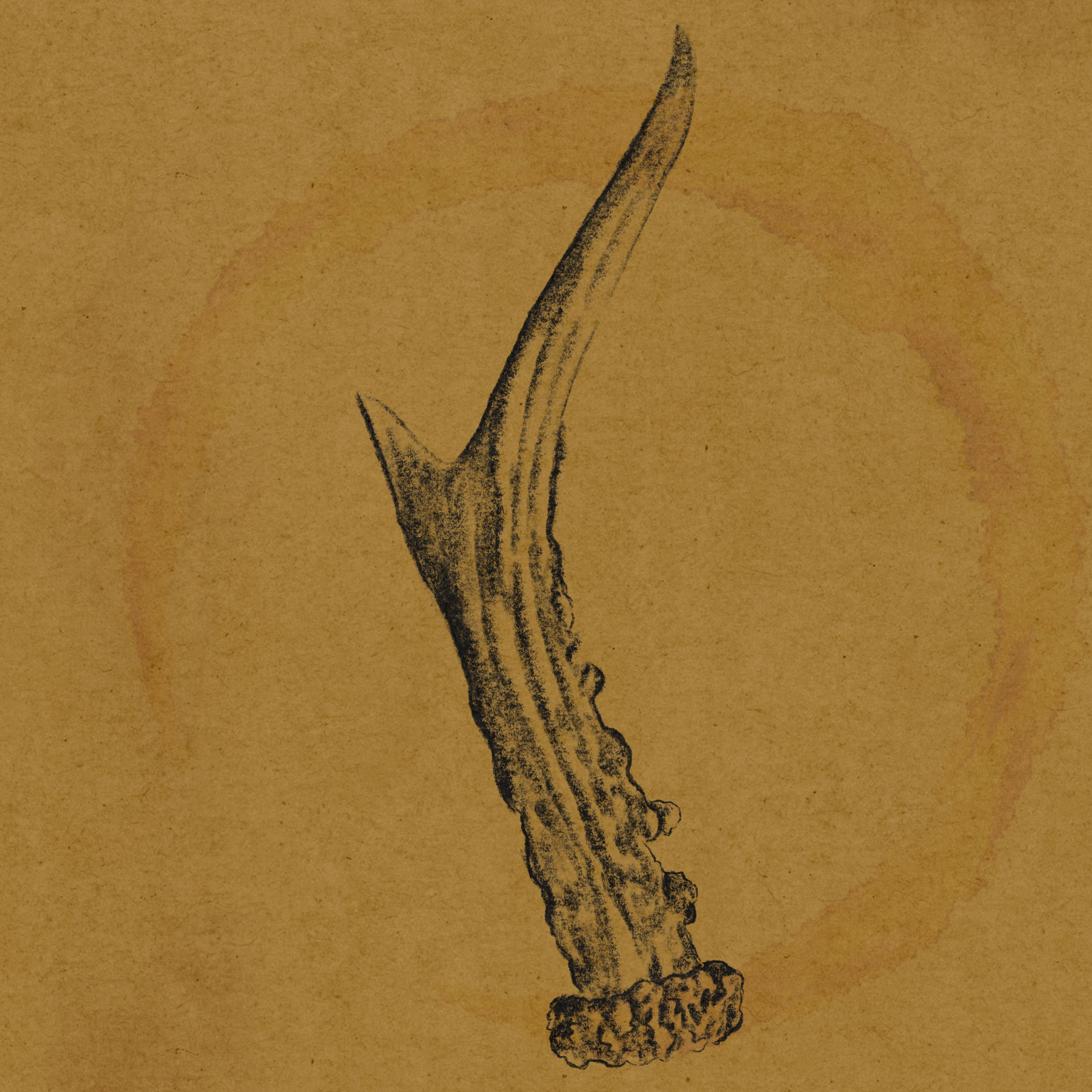 Antler