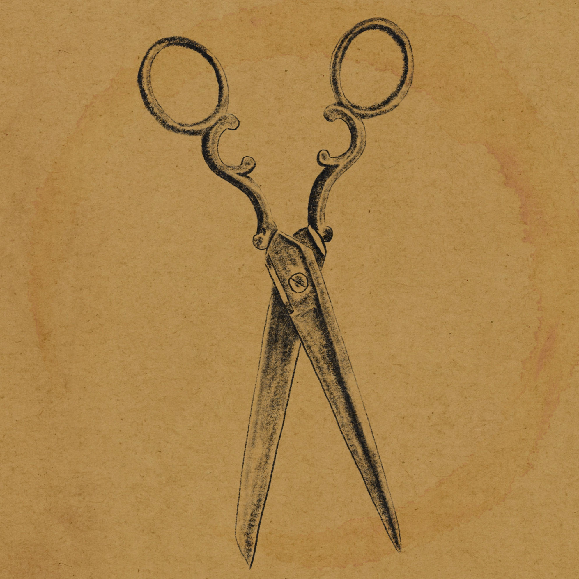 Fancy Scissors
