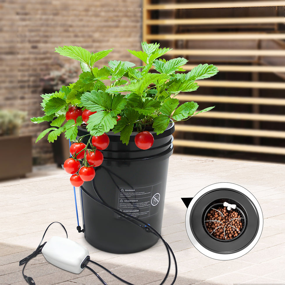 Thumbnail: Hydroponics Growing System Recirculating Drip Garden System with Multi-Purpose A
