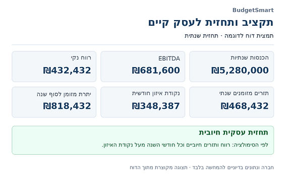תצוגה מקוצרת מתוך דוח לדוגמה — חברה ונתונים בדיוניים
