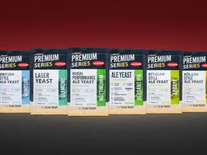 טבלת המרה לשמרי בירה – שמרים מקבילים בין Fermentis, Lallemand ו-Mangrove Jack's