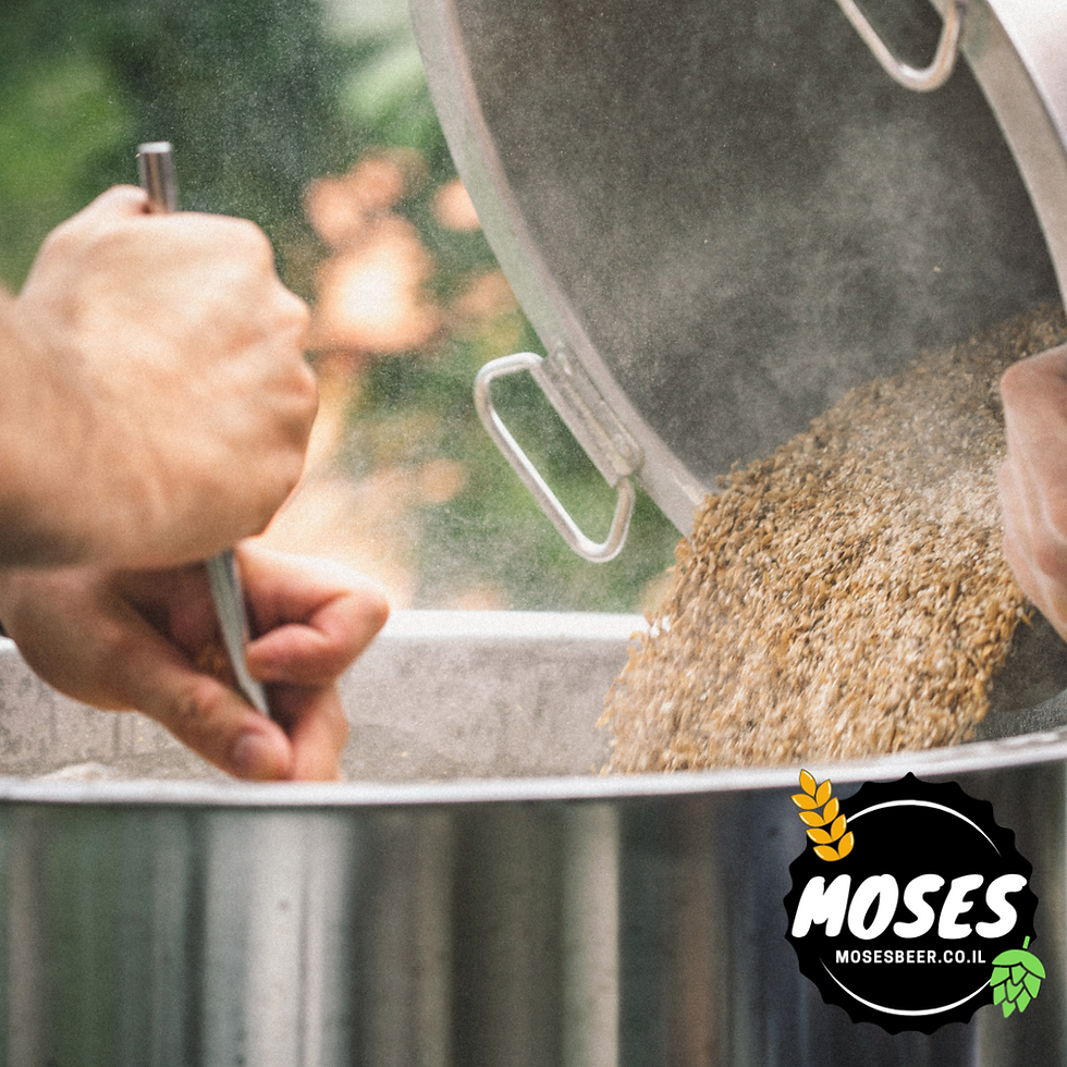 המדריך המלא לבישול בירה ביתית – כך תכינו בירה בבית צעד אחר צעד